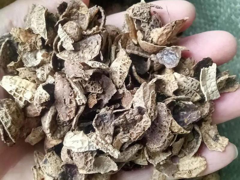 花生壳udp - 花生壳不发酵掺土直接能用吗 花生壳udp - 花生壳不发酵掺土直接能用吗