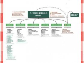 ssc如何搭建 如何搭建ssc体系
