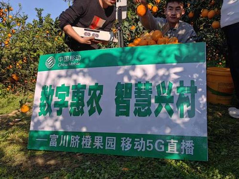 2026橙子建站规范 - 橙子建站广告 2026橙子建站规范 - 橙子建站广告