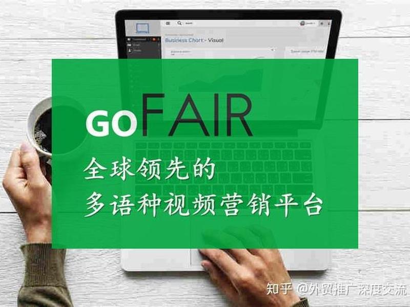gofair是骗子，gofair是什么意思