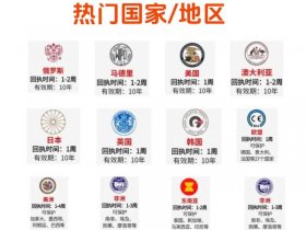 国外注册国内使用教程（国外注册国内使用教程有哪些）