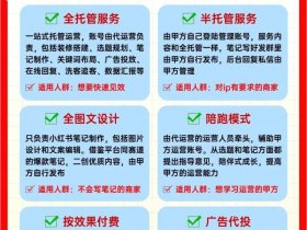 好品代运营模式、好品代运营模式有哪些