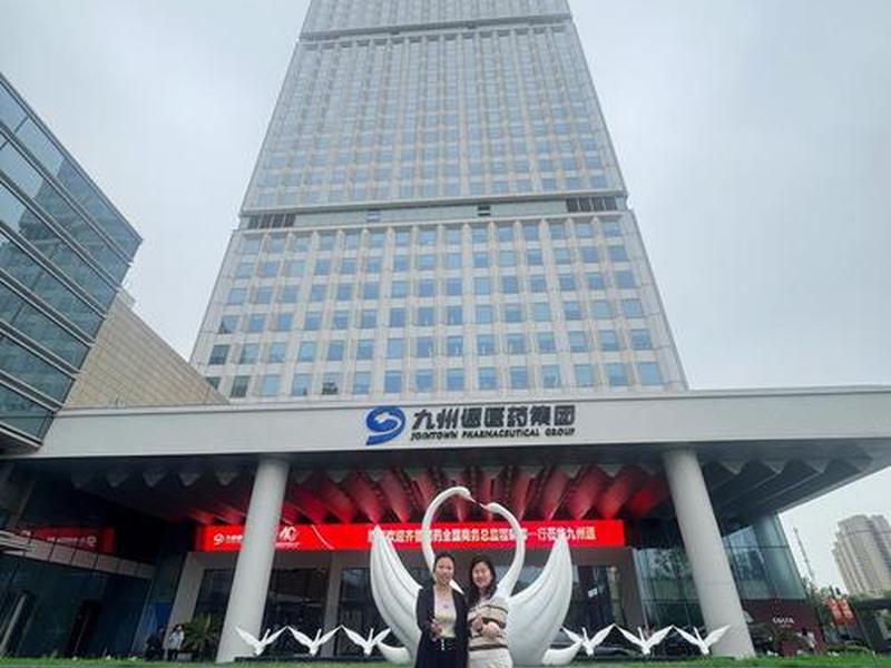 九州集团数字化；九州集团数字化是什么公司
