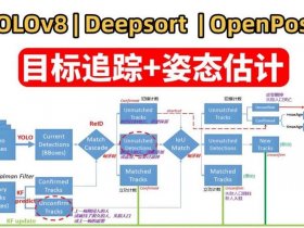 yolo开发板实战教程；yolo实战视频教程