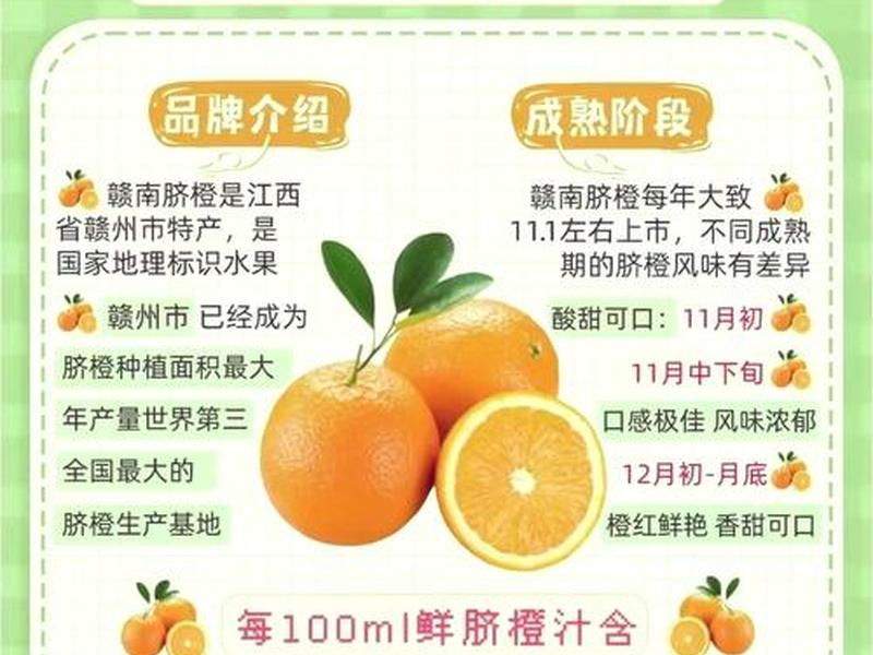 今日头条 橙子建站教程 橙子建站和今日头条