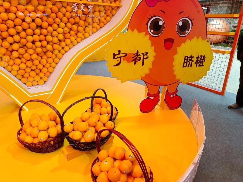 抖音橙子建站是什么东西（橙子建站是干什么的）