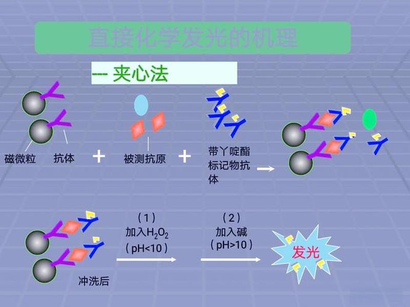 lamp检测原理解析 lamp快速检测原理 lamp检测原理解析 lamp快速检测原理