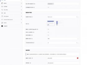wordpress的社交网络链接菜单怎么设置（wordpress社交登录插件）