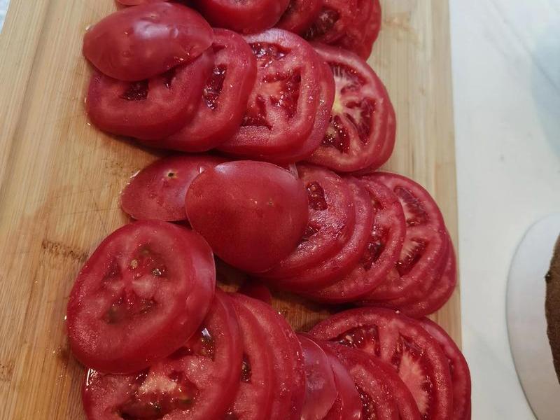 tomato安卓版（tomato安卓版下载）