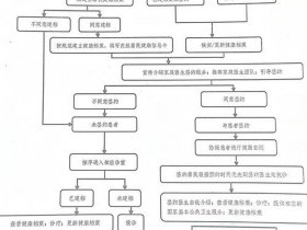 创建本地站点的操作步骤，创建本地站点的操作步骤是