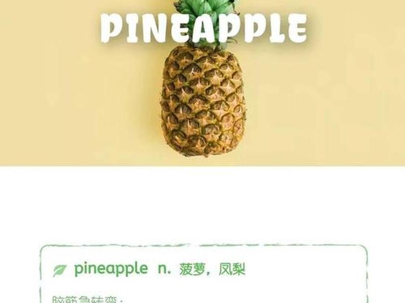 pineapple怎么读 pineapple怎么读(标准) pineapple怎么读 pineapple怎么读(标准)