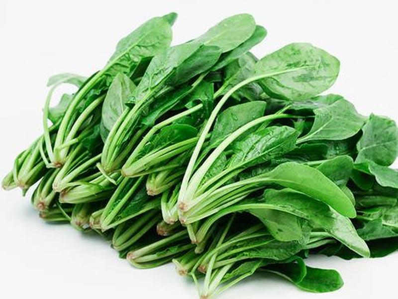 菠菜源代码平台 菠菜源代码出售 菠菜源代码平台 菠菜源代码出售