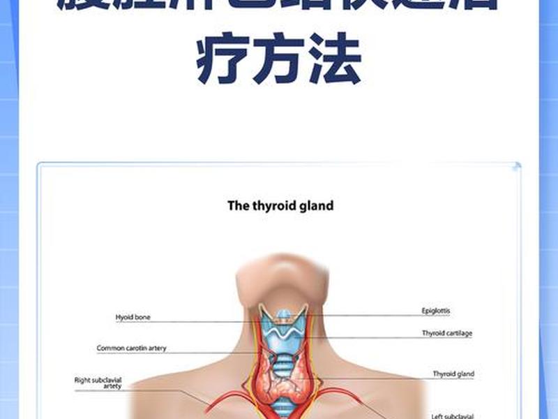 初学者检查猪肠系膜淋巴结时要首先找到什么肠；怎么检查肠系膜淋巴结肿大