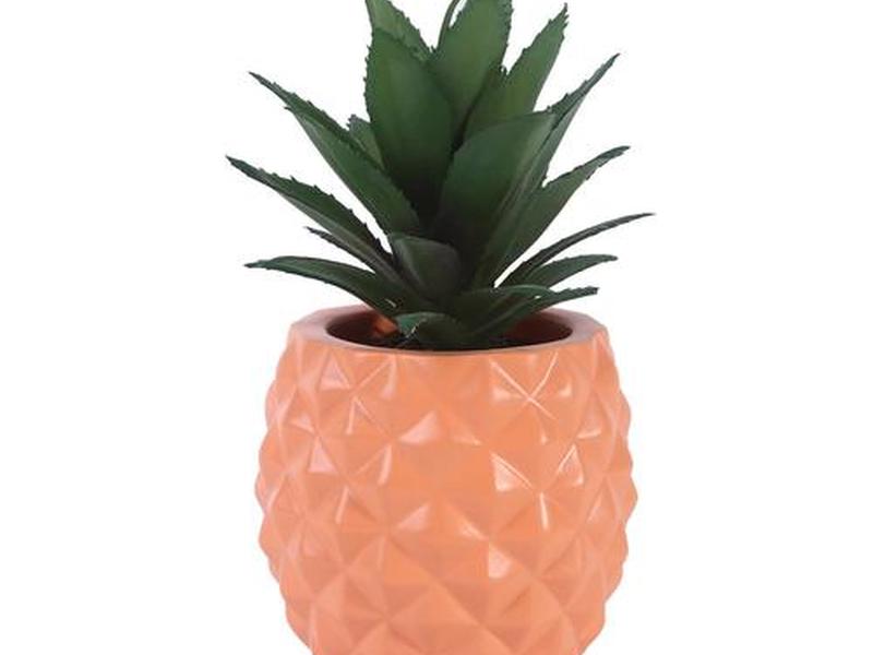 pineapple创作 - pinkpineapple创作的 pineapple创作 - pinkpineapple创作的