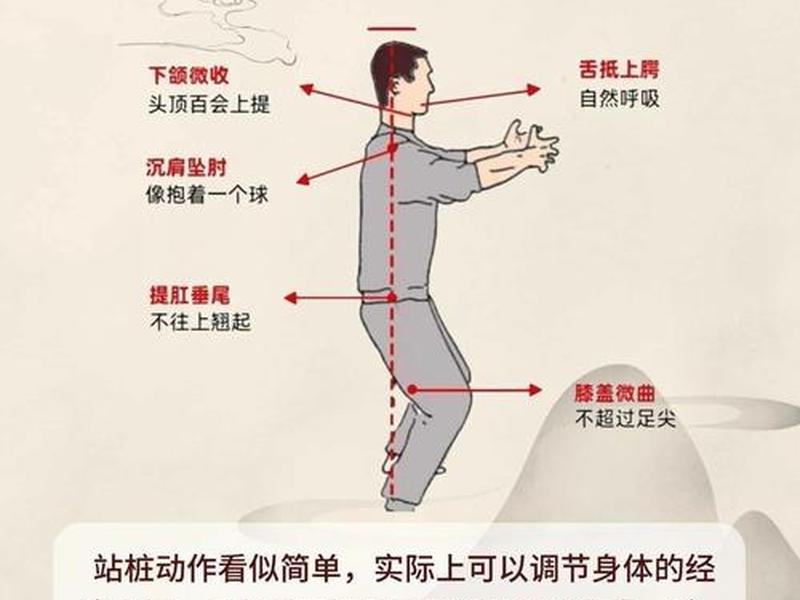初学站桩视频 初学站桩的正确方法视频 初学站桩视频 初学站桩的正确方法视频