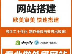 WP外贸建站新手教程 wp外贸建站新手教程