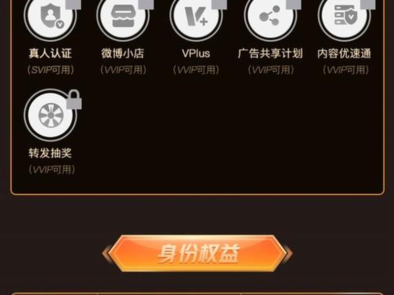 VIP怎么制作、vip怎么制作 VIP怎么制作、vip怎么制作