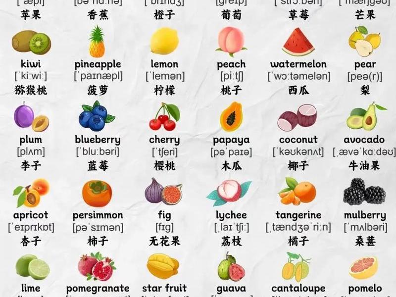 pineapple的中文怎么读 - pineapple怎么读用中文 pineapple的中文怎么读 - pineapple怎么读用中文