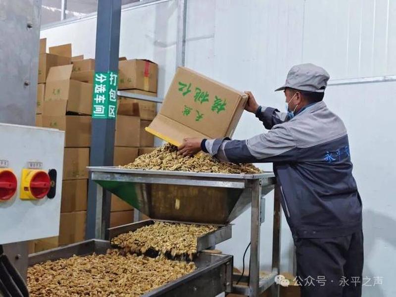 大理做什么外贸,大理做什么外贸好 大理做什么外贸,大理做什么外贸好