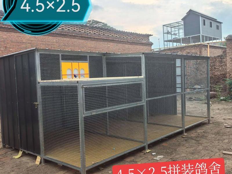 鸽棚怎么建设 - 鸽棚怎么建设好看 鸽棚怎么建设 - 鸽棚怎么建设好看
