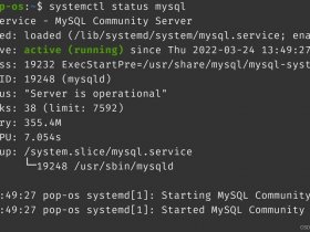 mysql8.0建立数据库、mysql8.0创建数据库