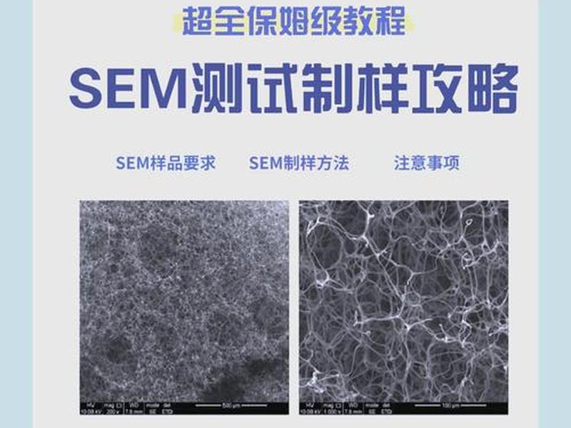 sem检测是什么意思、sem检测是什么意思啊 sem检测是什么意思、sem检测是什么意思啊