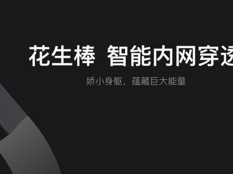 花生壳建网站 - 花生壳建立网站
