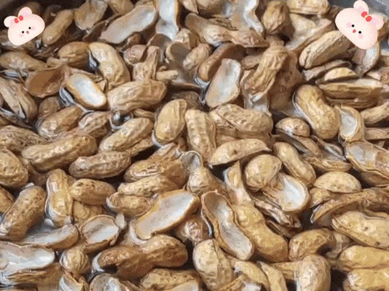 花生壳动态端口多久更新一次,花生壳动态端口多久更新一次啊 花生壳动态端口多久更新一次,花生壳动态端口多久更新一次啊