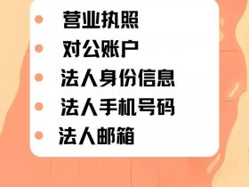 代投专属平台使用教程（代投公司是什么意思）