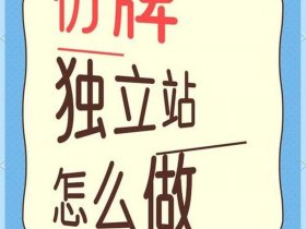 国内做仿牌独立站是怎么弄的、仿牌独立站推广