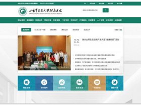 动易网站模板（动易系统网站模板制作）