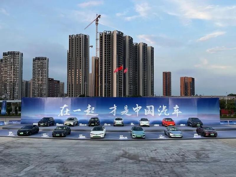 zt全球站 ctb全球站 zt全球站 ctb全球站