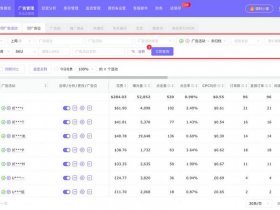 多站点管理系统（多网站管理系统）