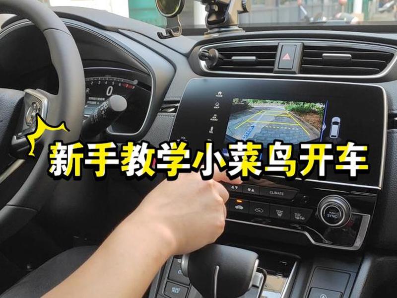 菜鸟 新手 入门、菜鸟 新手 入门教程视频