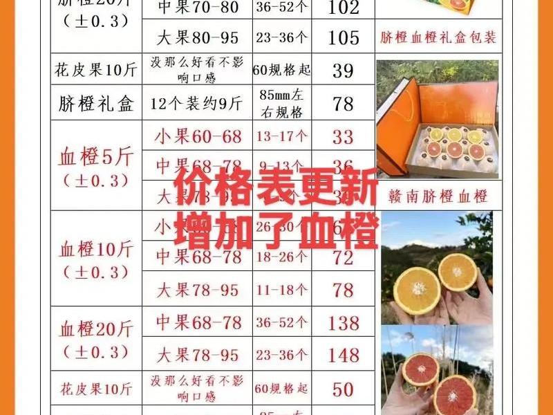 橙子建站价格,橙子建站价格表 橙子建站价格,橙子建站价格表