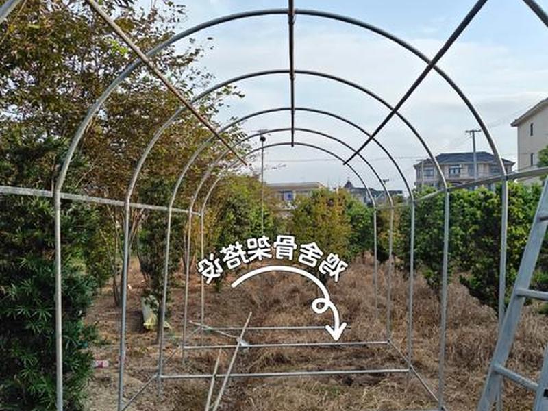 斗鸡舍怎么搭建最好,斗鸡舍怎么搭建最好看 斗鸡舍怎么搭建最好,斗鸡舍怎么搭建最好看