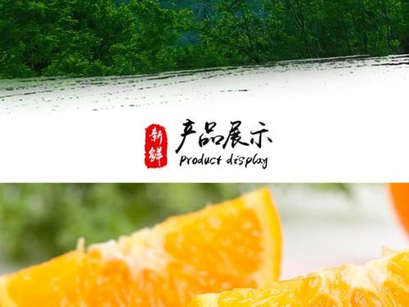橙子建站怎么投放广告 橙子建站广告怎么做 橙子建站怎么投放广告 橙子建站广告怎么做
