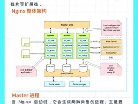 宝塔nginx.conf在哪（宝塔 apache nginx）