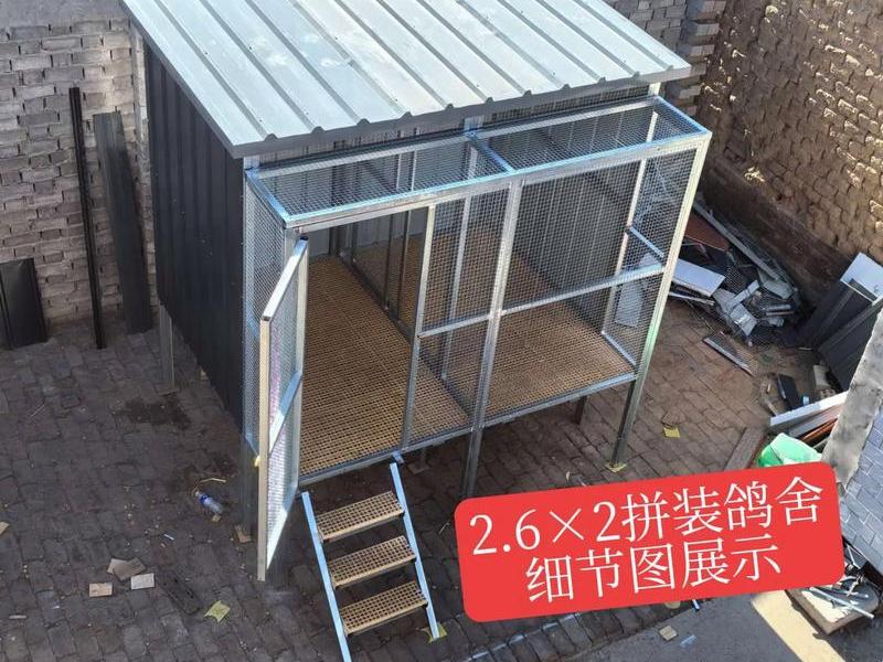 搭建鸽棚(搭建鸽棚的工人怎么找) 搭建鸽棚(搭建鸽棚的工人怎么找)
