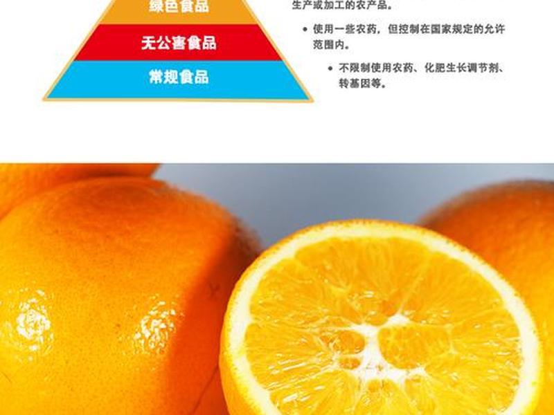 橙子落地页是什么意思 - 橙子落地果有什么用 橙子落地页是什么意思 - 橙子落地果有什么用