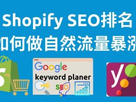 shopify自建站入口，shopify自建站运营