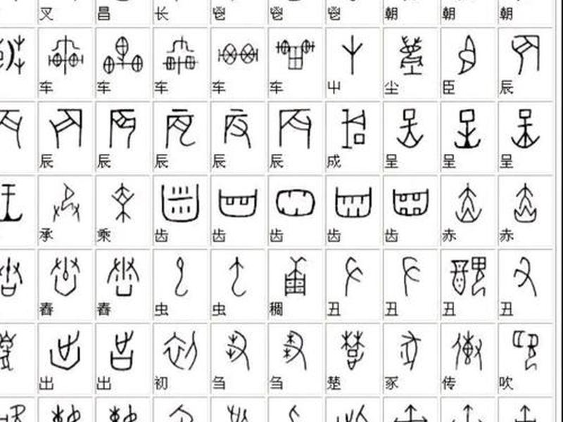 甲骨文简策形式、甲骨文简易 甲骨文简策形式、甲骨文简易