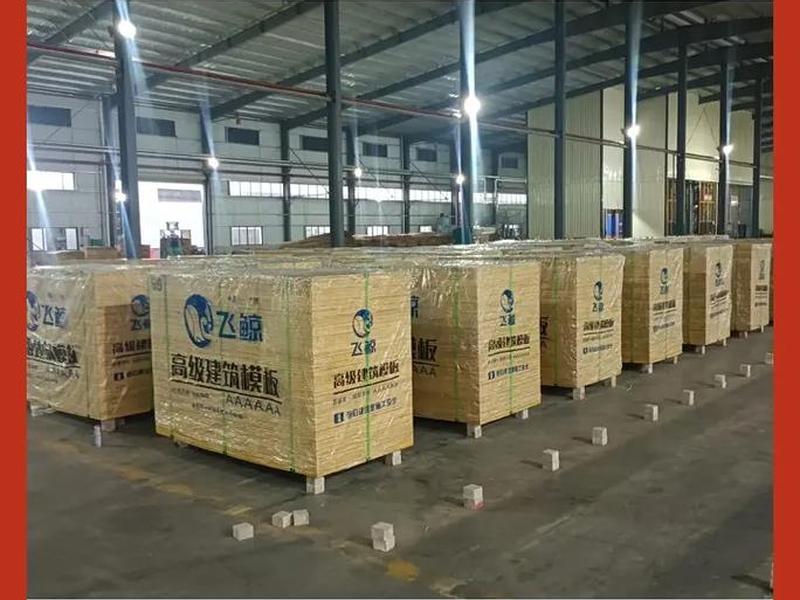 广州专业建筑模板，广州专业建筑模板公司