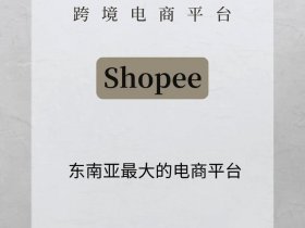 shopee自建站，shopee自建物流