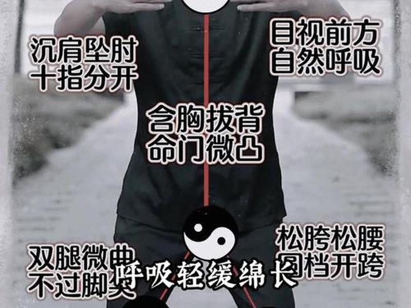 初学站桩全攻略 站桩的视频初学视频教程 初学站桩全攻略 站桩的视频初学视频教程