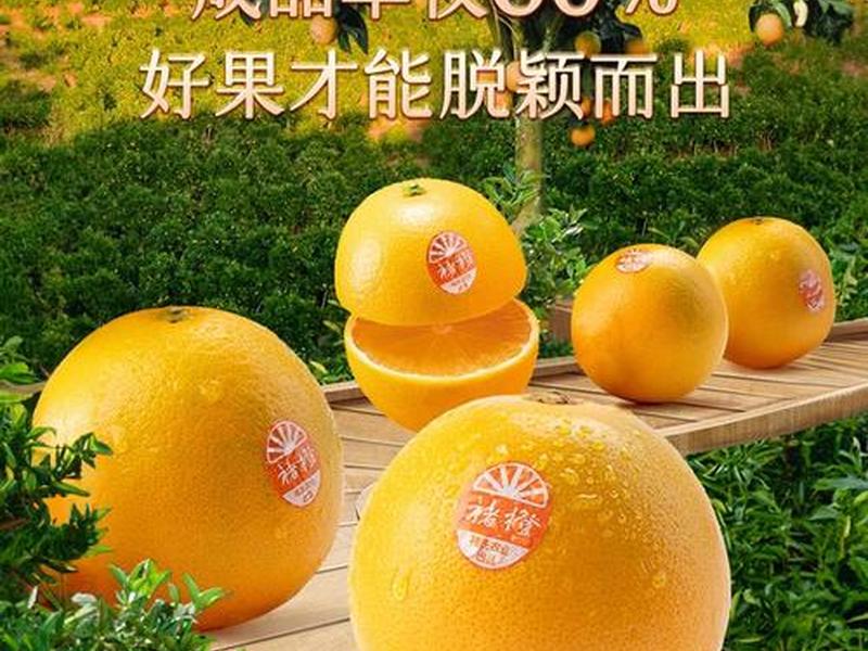 橙子建站怎么制作卡片 - 橙子建站收集的电话怎么查看 橙子建站怎么制作卡片 - 橙子建站收集的电话怎么查看