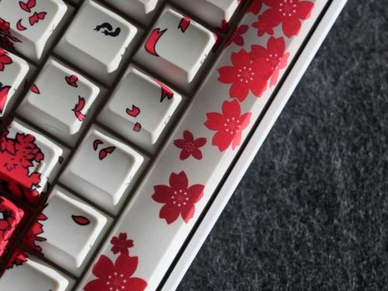 sakura frp专业模式；sakura frp怎么样