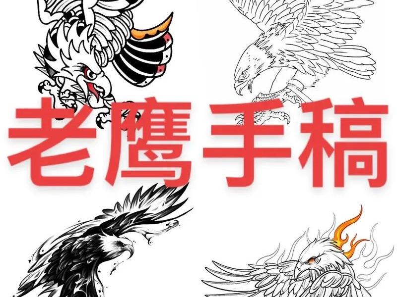 黑鹰设计、黑鹰设计图怎么获取 黑鹰设计、黑鹰设计图怎么获取