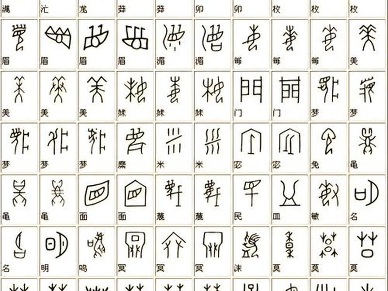 甲骨文简介资料 甲骨文简介资料50字 甲骨文简介资料 甲骨文简介资料50字