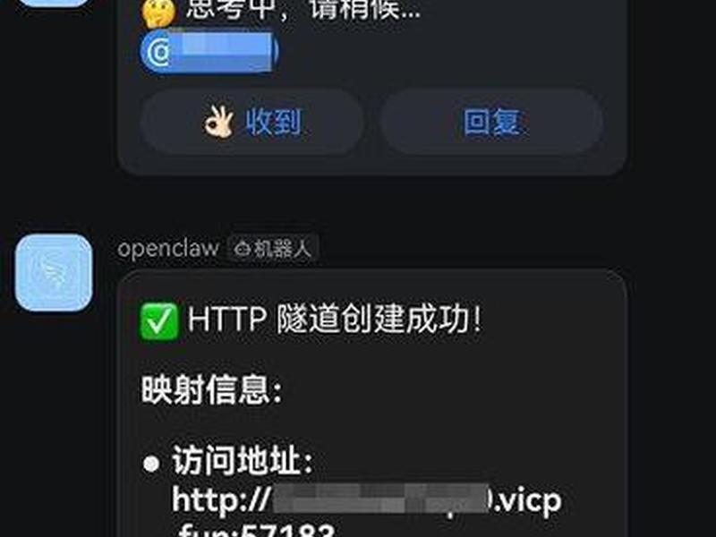 花生壳内网软件 - 花生壳内网版有什么用